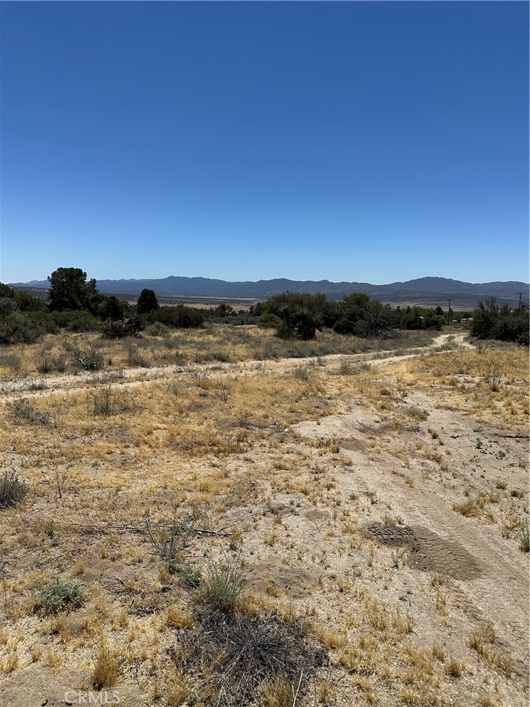 37380 Bohlen Property Photo 10