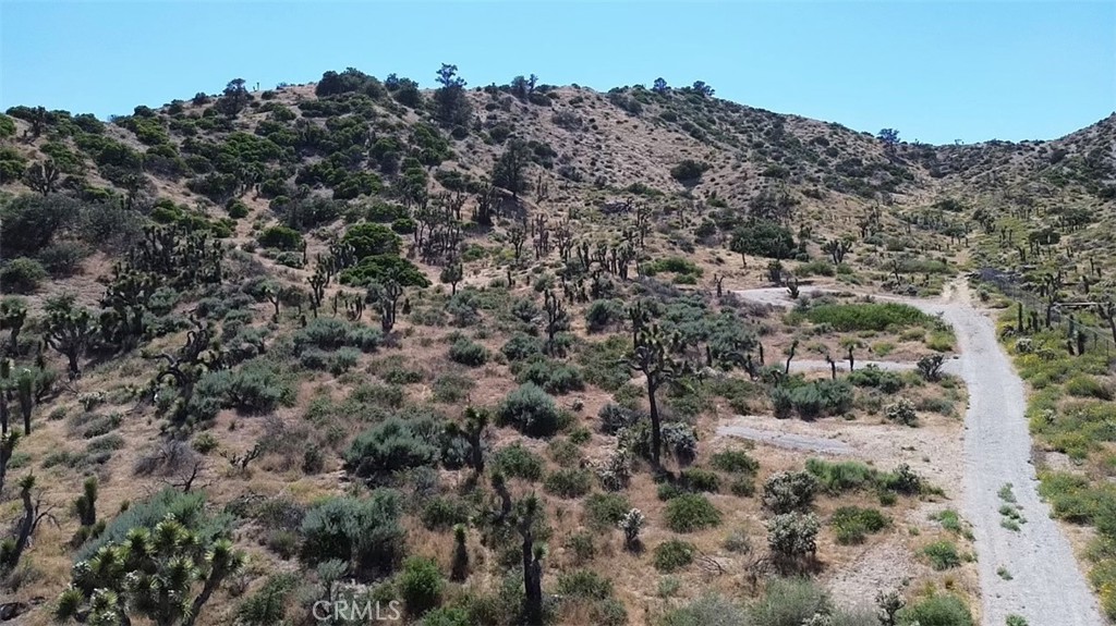 0 Mesquite Road Property Photo 2
