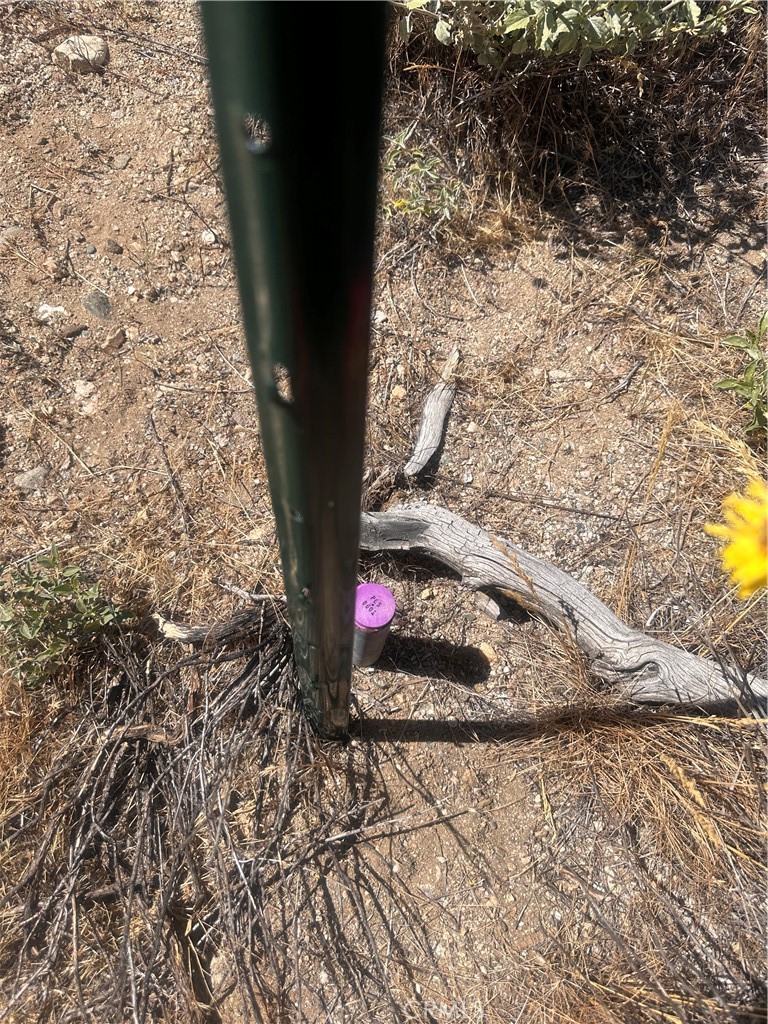 0 Mesquite Road Property Photo 6
