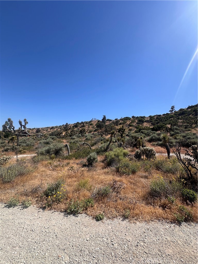 0 Mesquite Road Property Photo 10