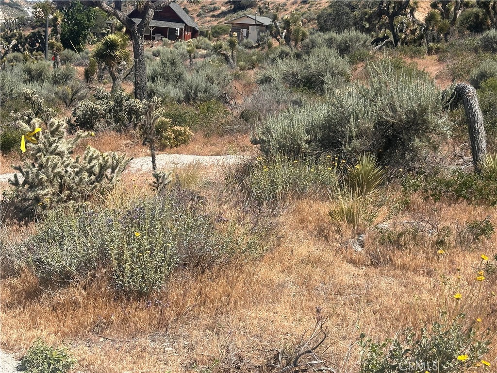 0 Mesquite Road Property Photo 11