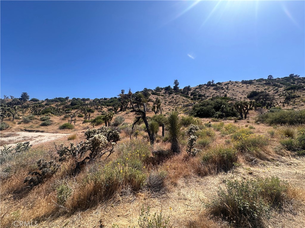0 Mesquite Road Property Photo 12