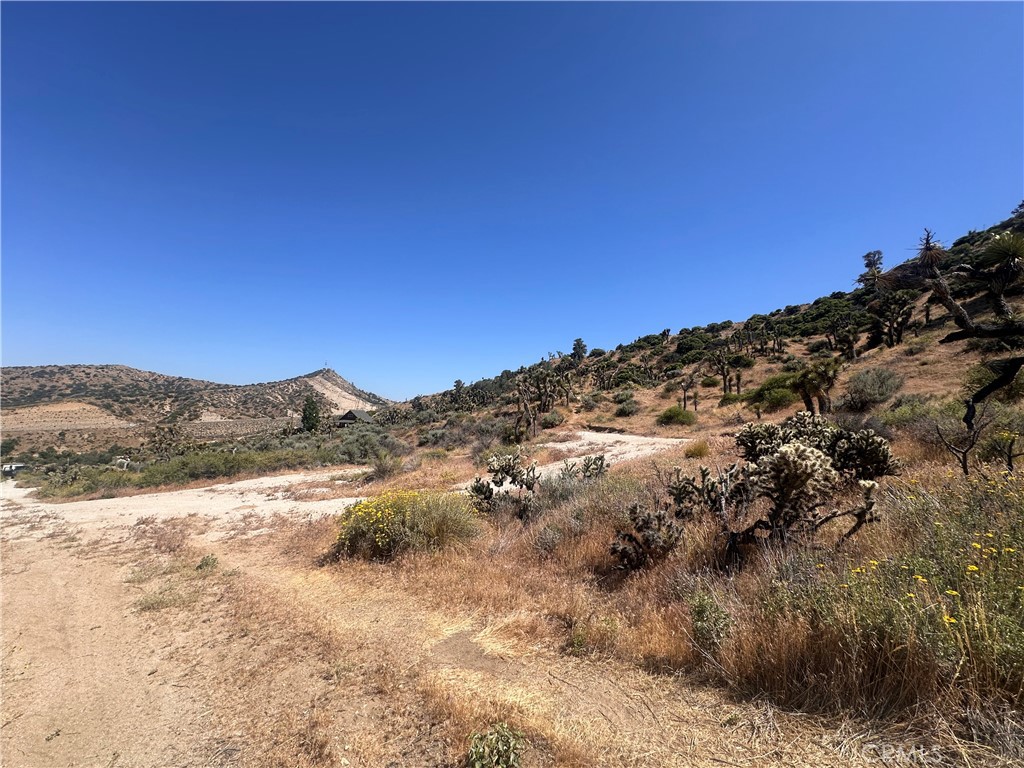 0 Mesquite Road Property Photo 13