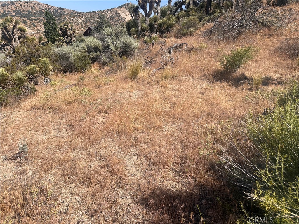 0 Mesquite Road Property Photo 16