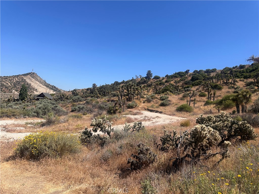 0 Mesquite Road Property Photo 18