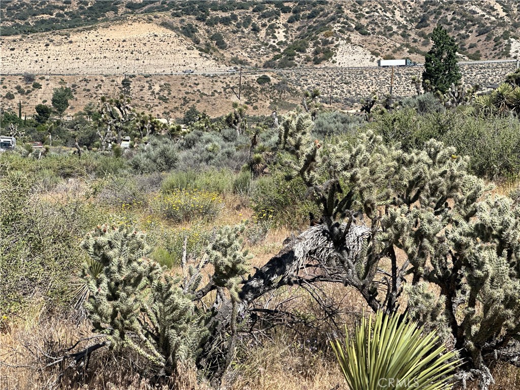 0 Mesquite Road Property Photo 19