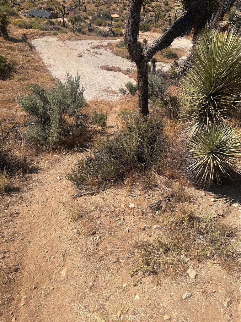 0 Mesquite Road Property Photo 20