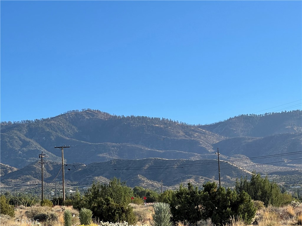 2825 Del Rosa Road Property Photo 26