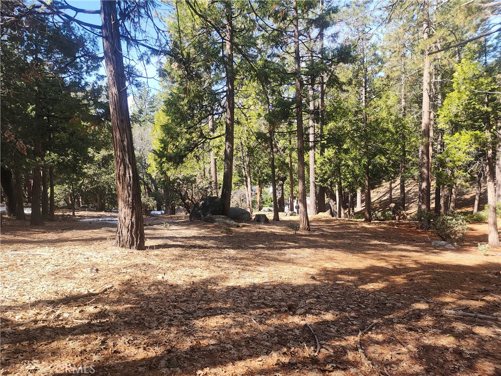 52547 Pine Cove Property Photo 1