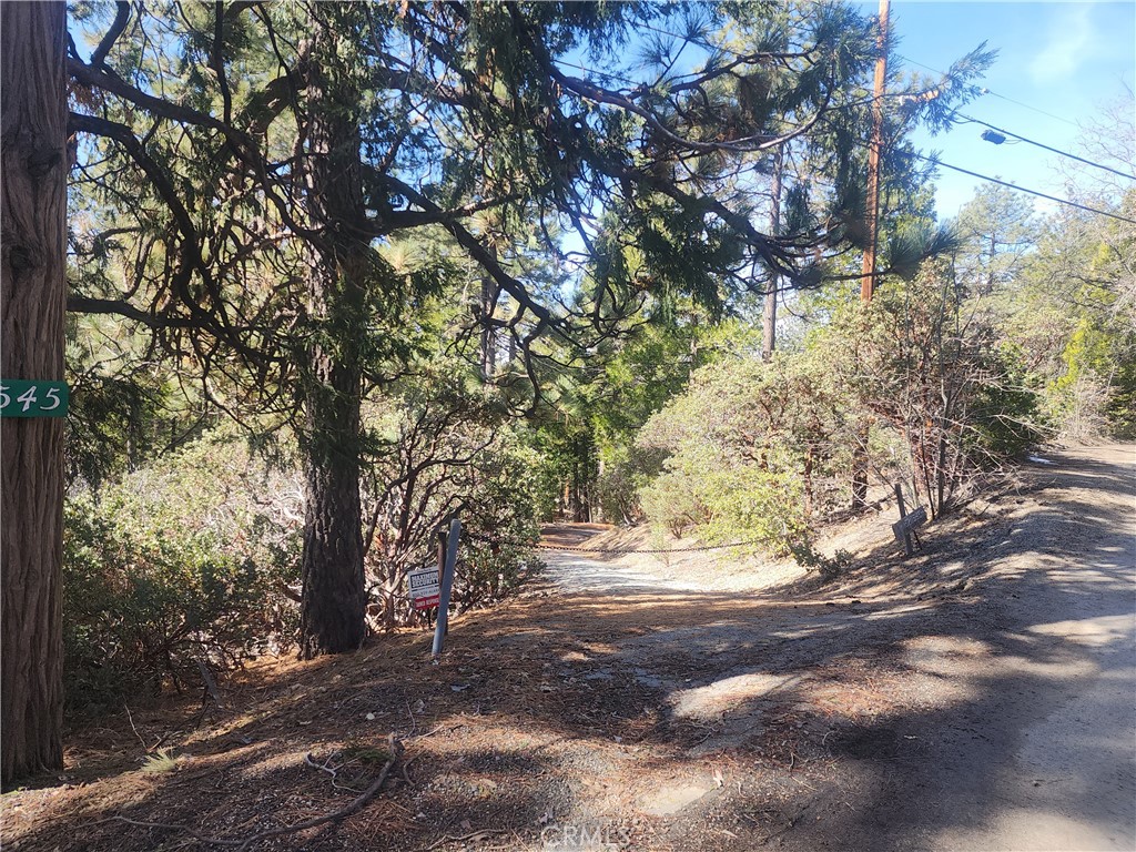 52547 Pine Cove Property Photo 3