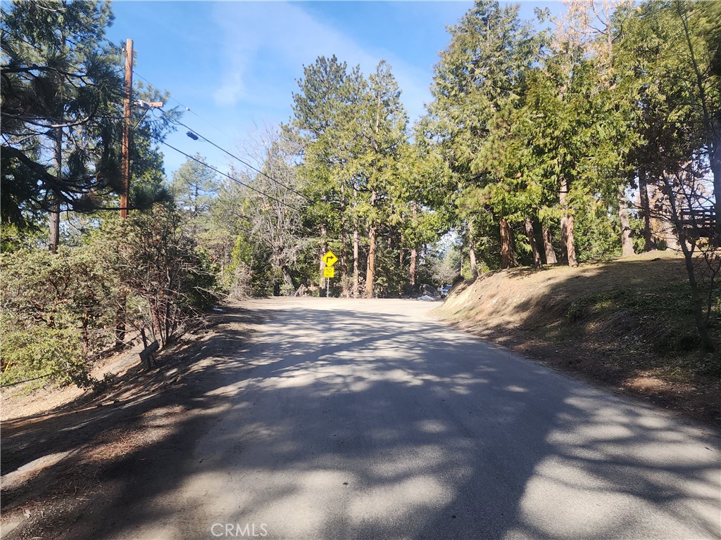 52547 Pine Cove Property Photo 4