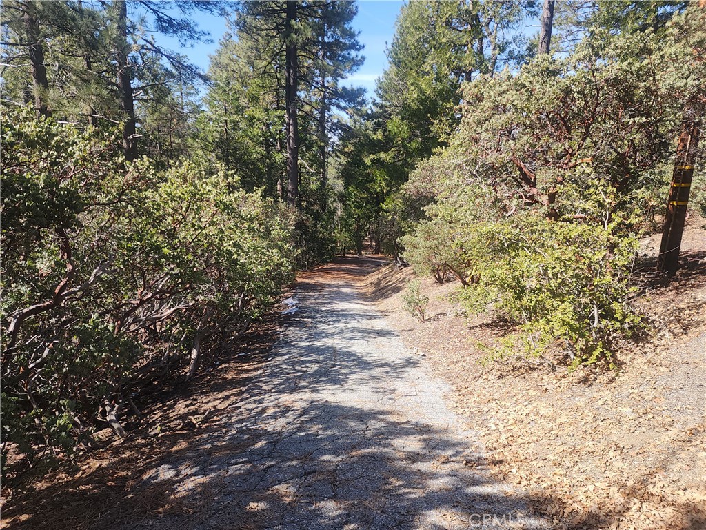 52547 Pine Cove Property Photo 5
