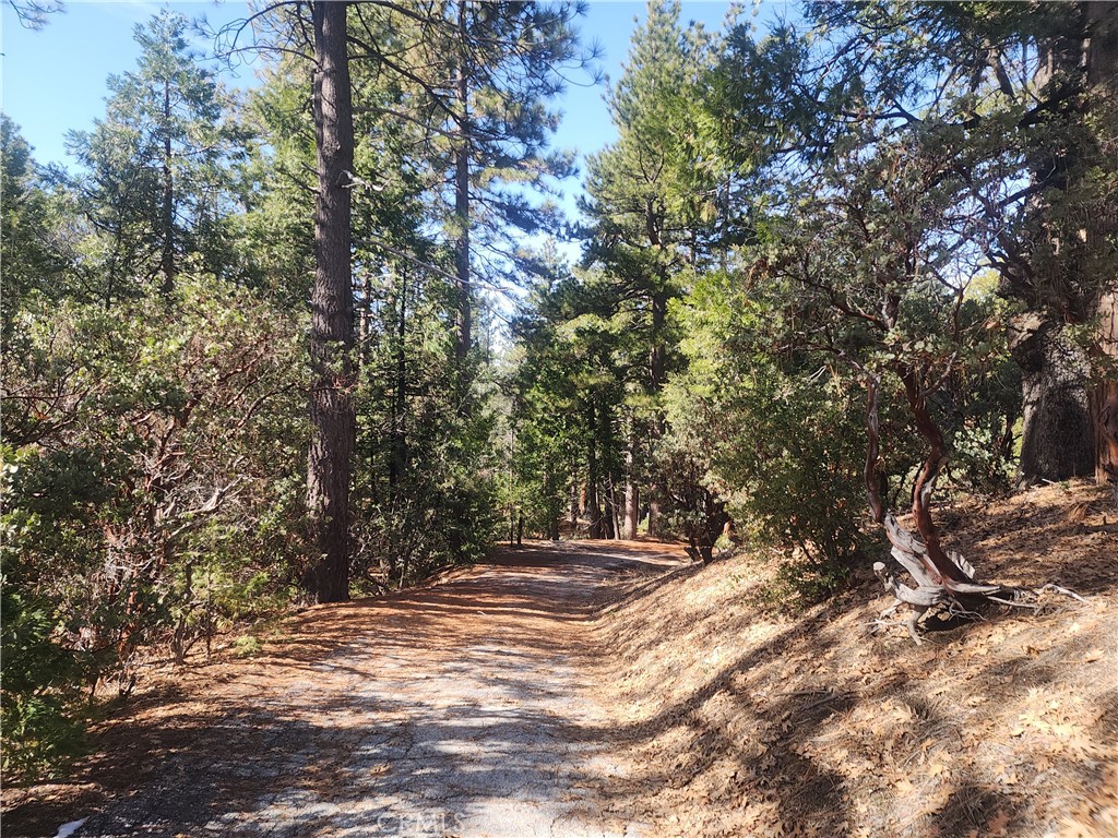 52547 Pine Cove Property Photo 7