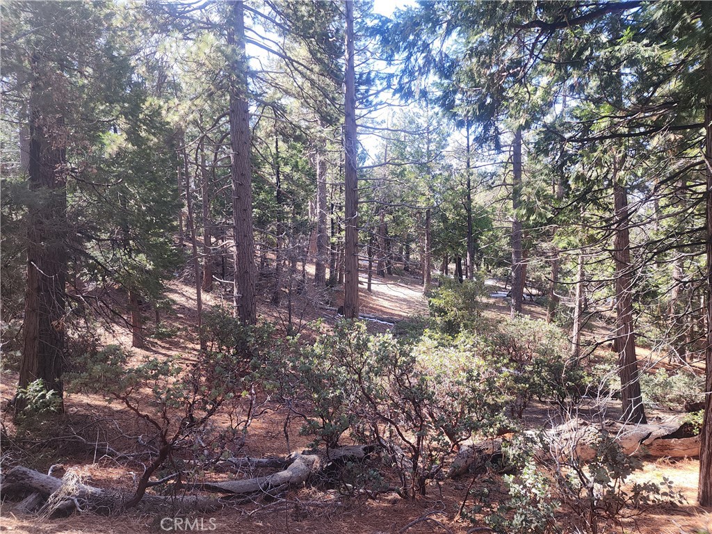 52547 Pine Cove Property Photo 8