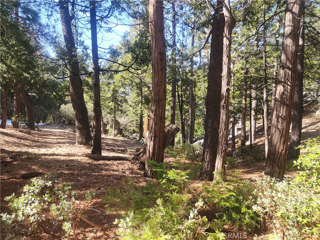 52547 Pine Cove Property Photo 10