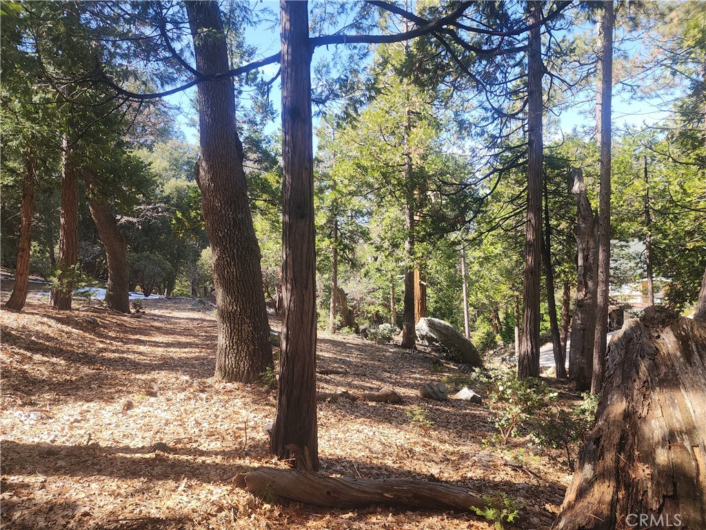 52547 Pine Cove Property Photo 11