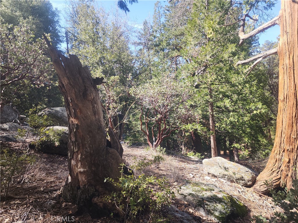 52547 Pine Cove Property Photo 12