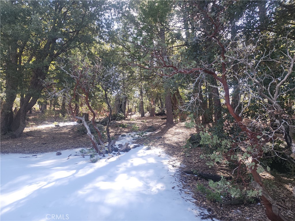 52547 Pine Cove Property Photo 15