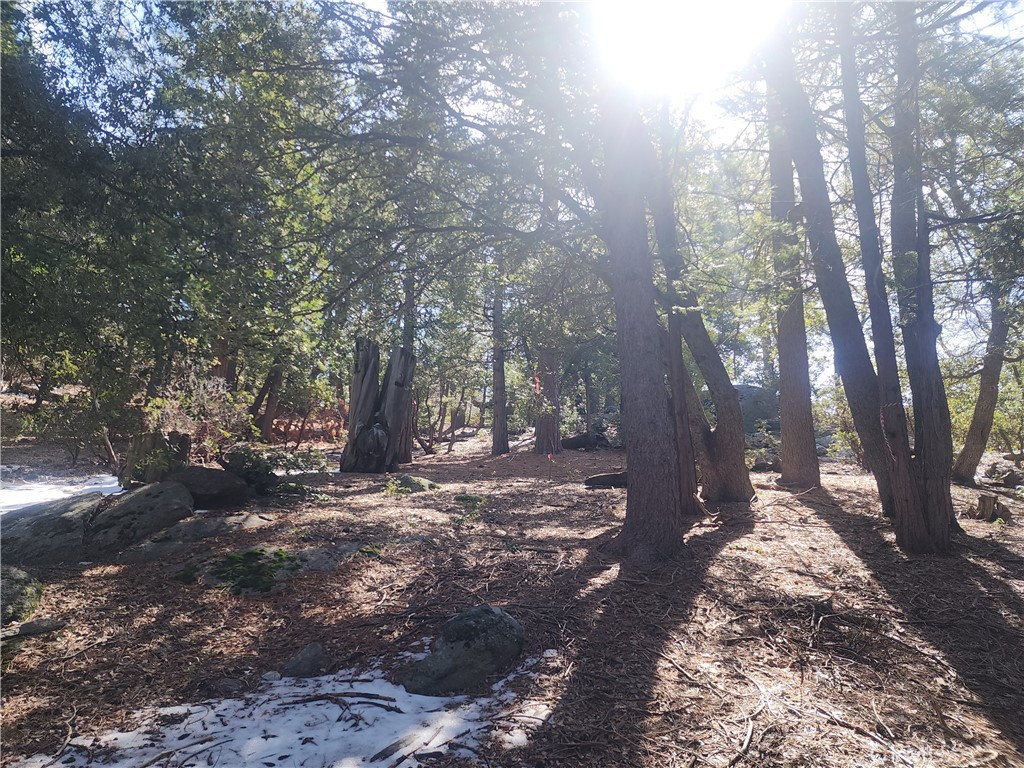 52547 Pine Cove Property Photo 16