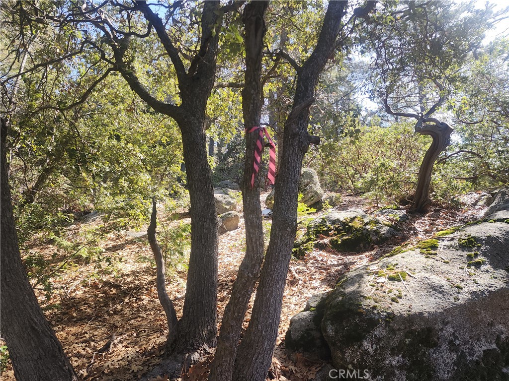52547 Pine Cove Property Photo 17