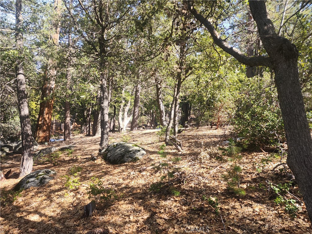 52547 Pine Cove Property Photo 18