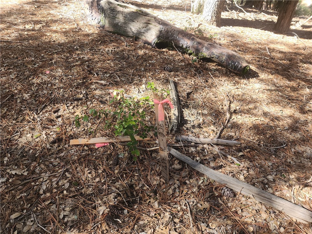 52547 Pine Cove Property Photo 20