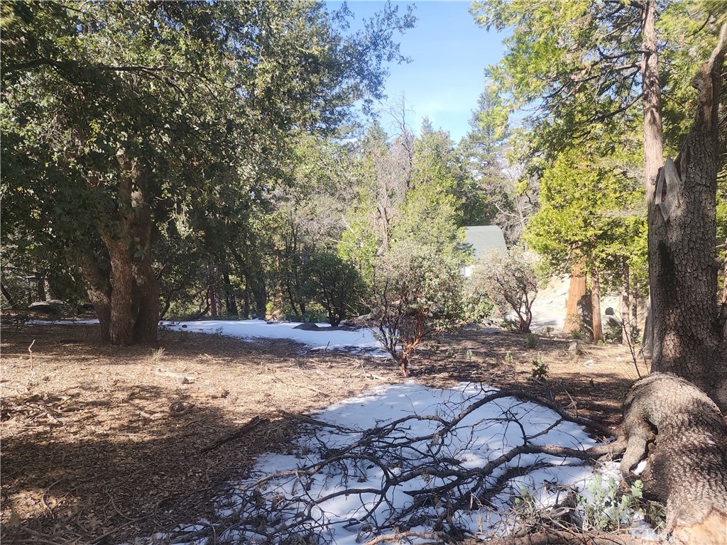 52547 Pine Cove Property Photo 21