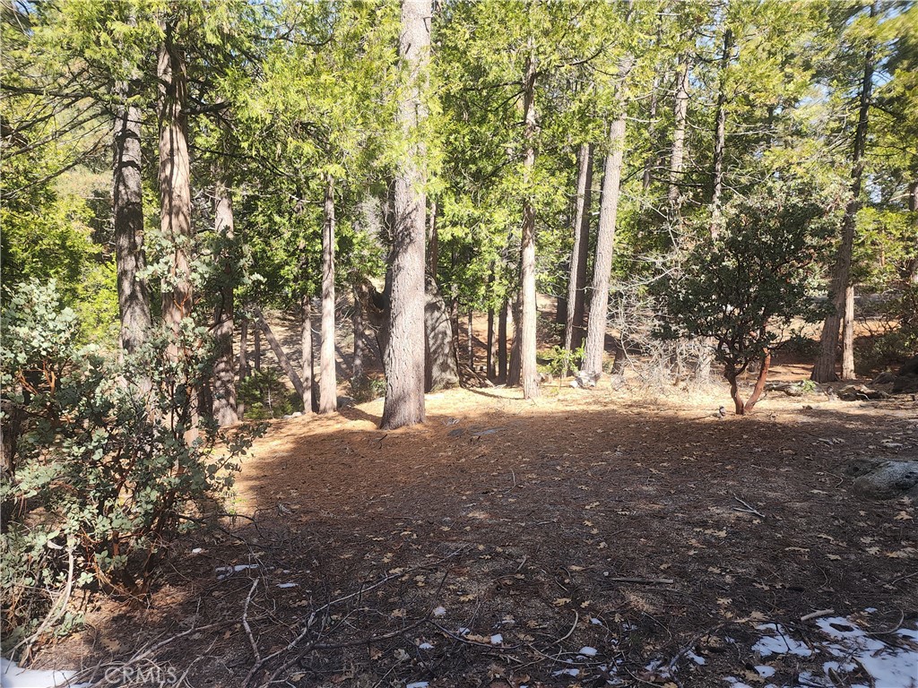 52547 Pine Cove Property Photo 22