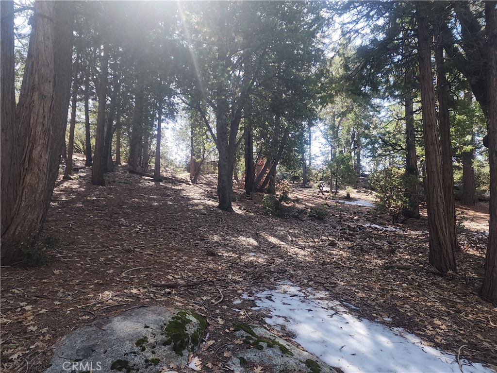 52547 Pine Cove Property Photo 24