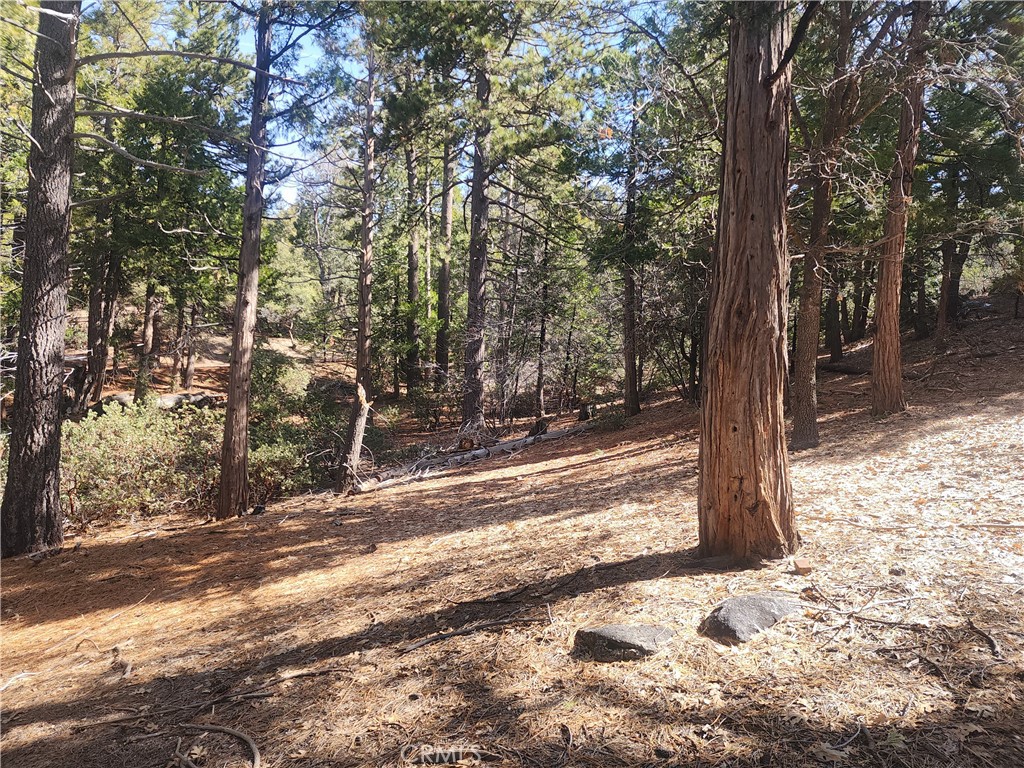 52547 Pine Cove Property Photo 25