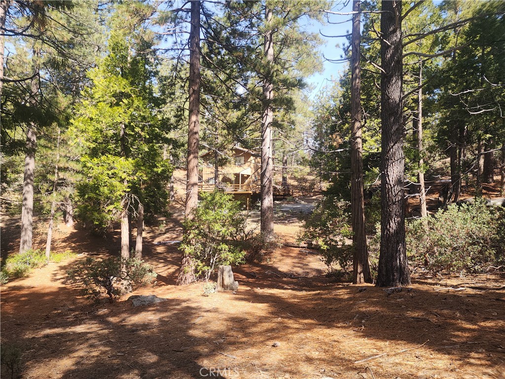 52547 Pine Cove Property Photo 26
