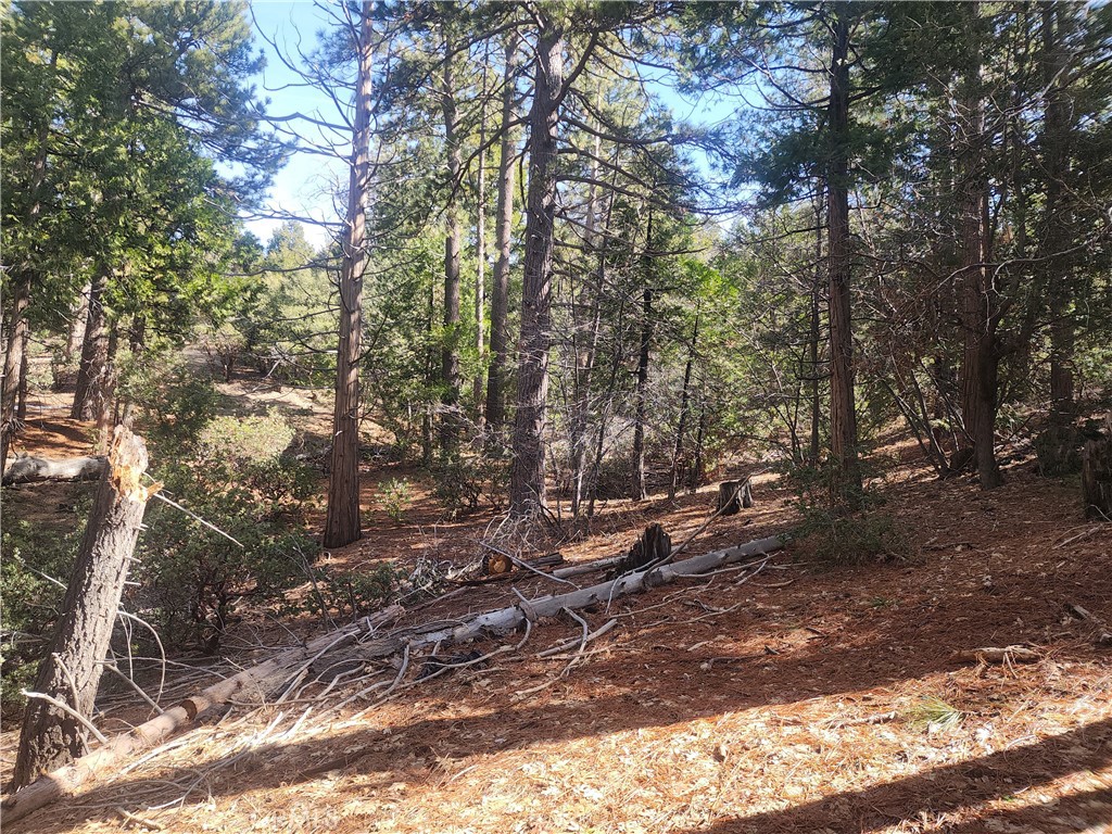 52547 Pine Cove Property Photo 27