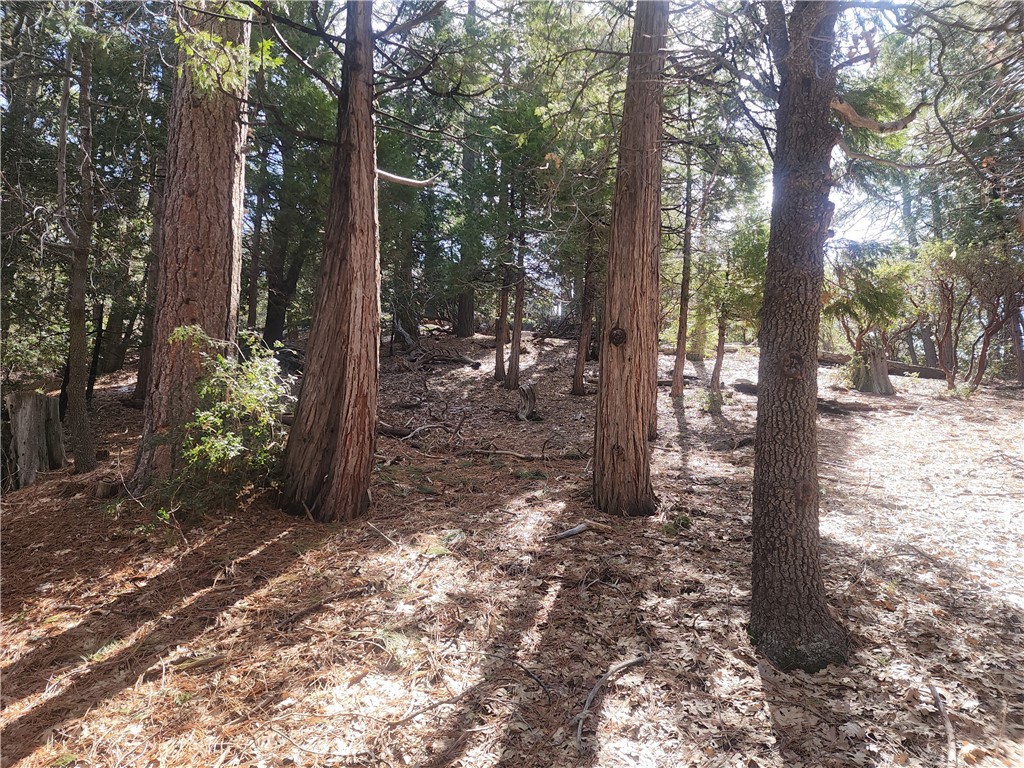 52547 Pine Cove Property Photo 28