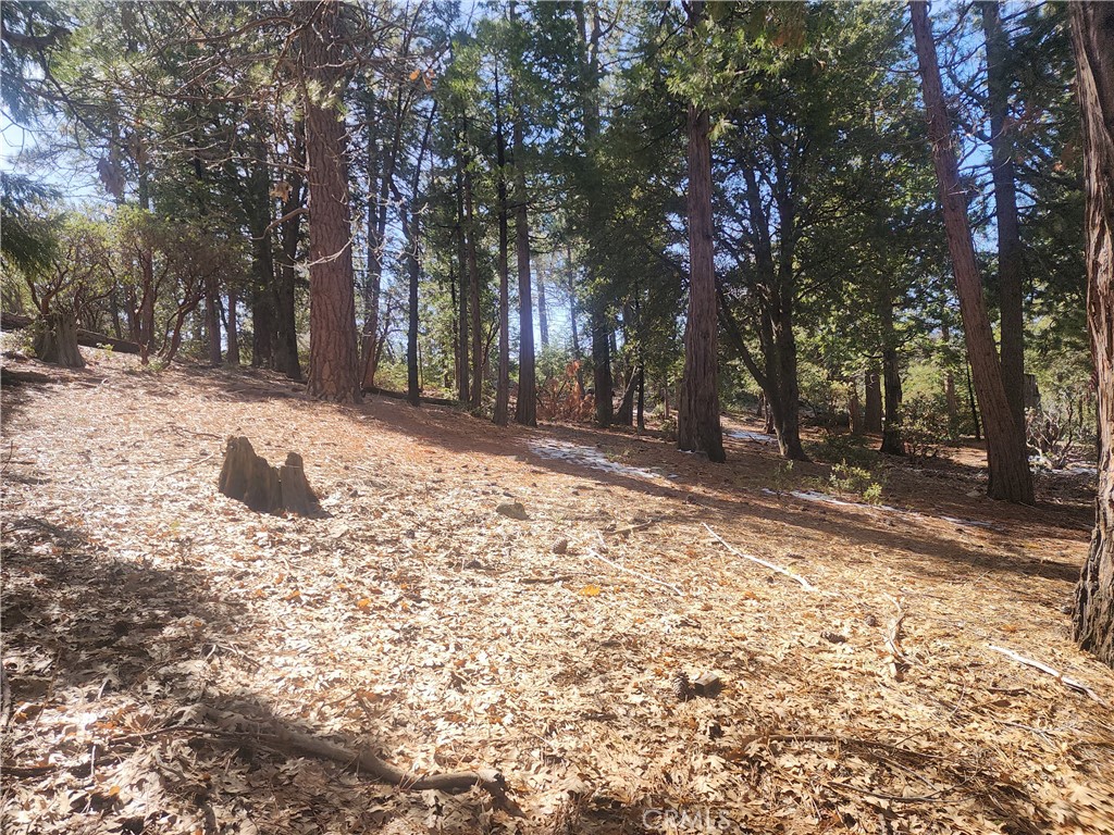 52547 Pine Cove Property Photo 29