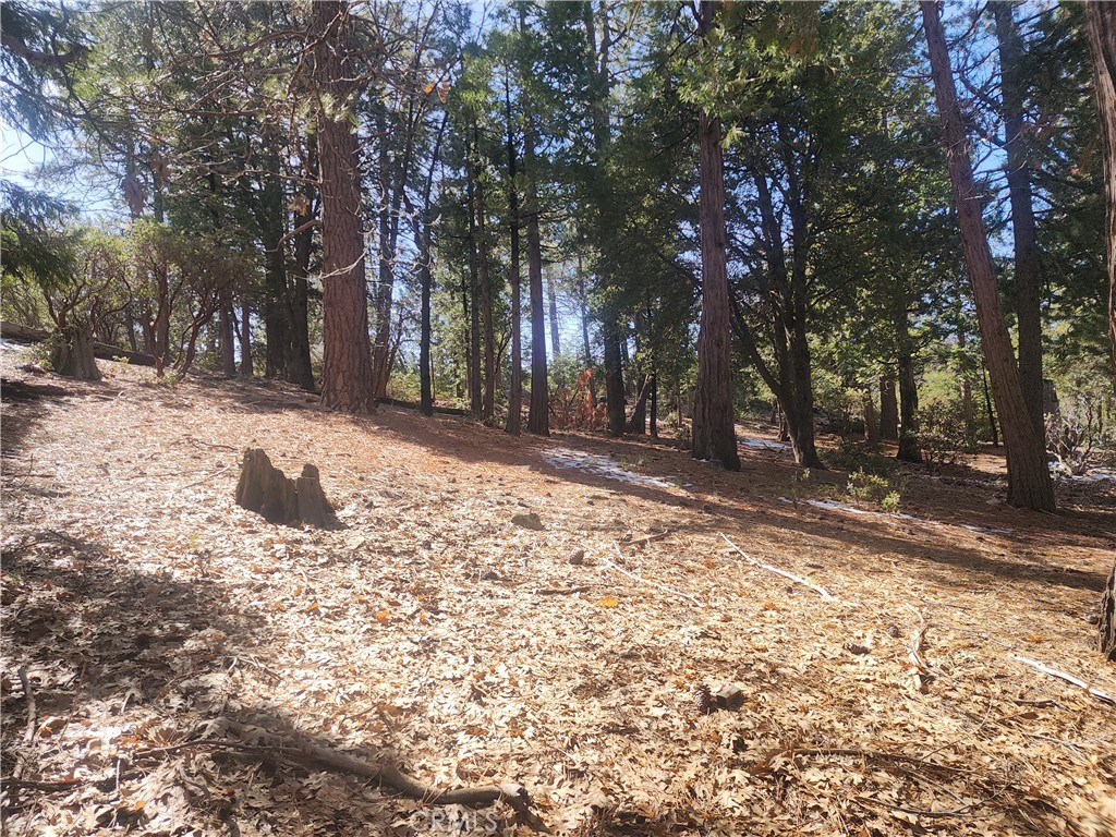 52547 Pine Cove Property Photo 30