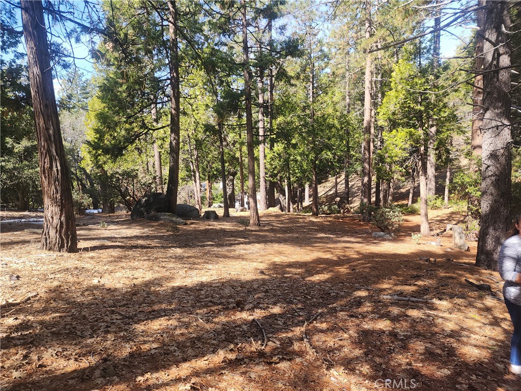 52547 Pine Cove Property Photo 31