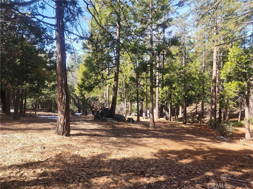 52547 Pine Cove Property Photo 32