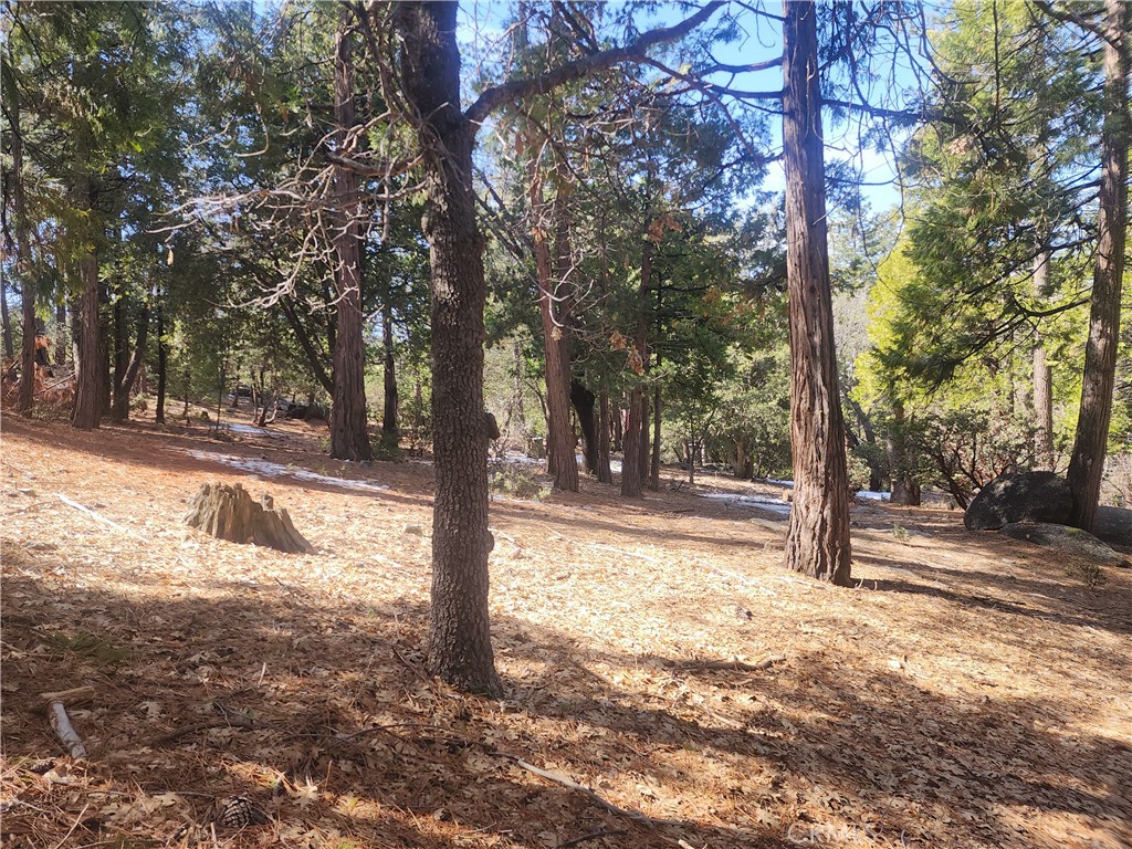52547 Pine Cove Property Photo 33