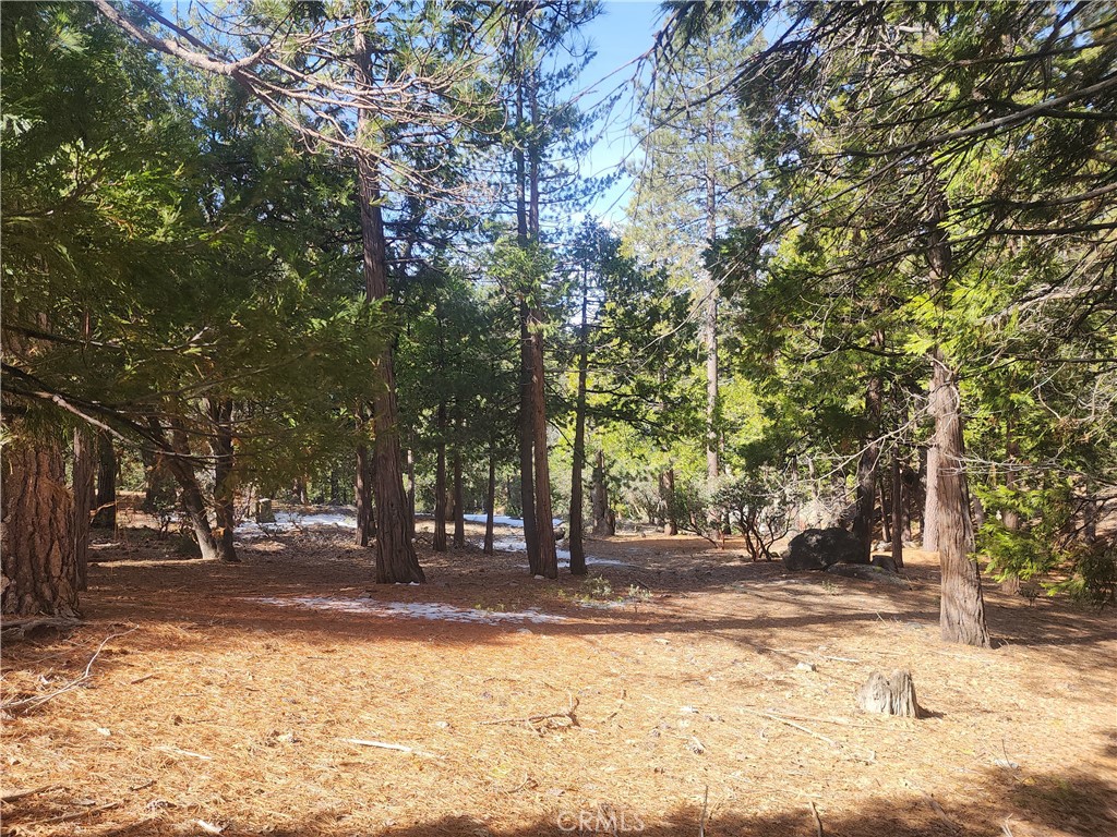 52547 Pine Cove Property Photo 34