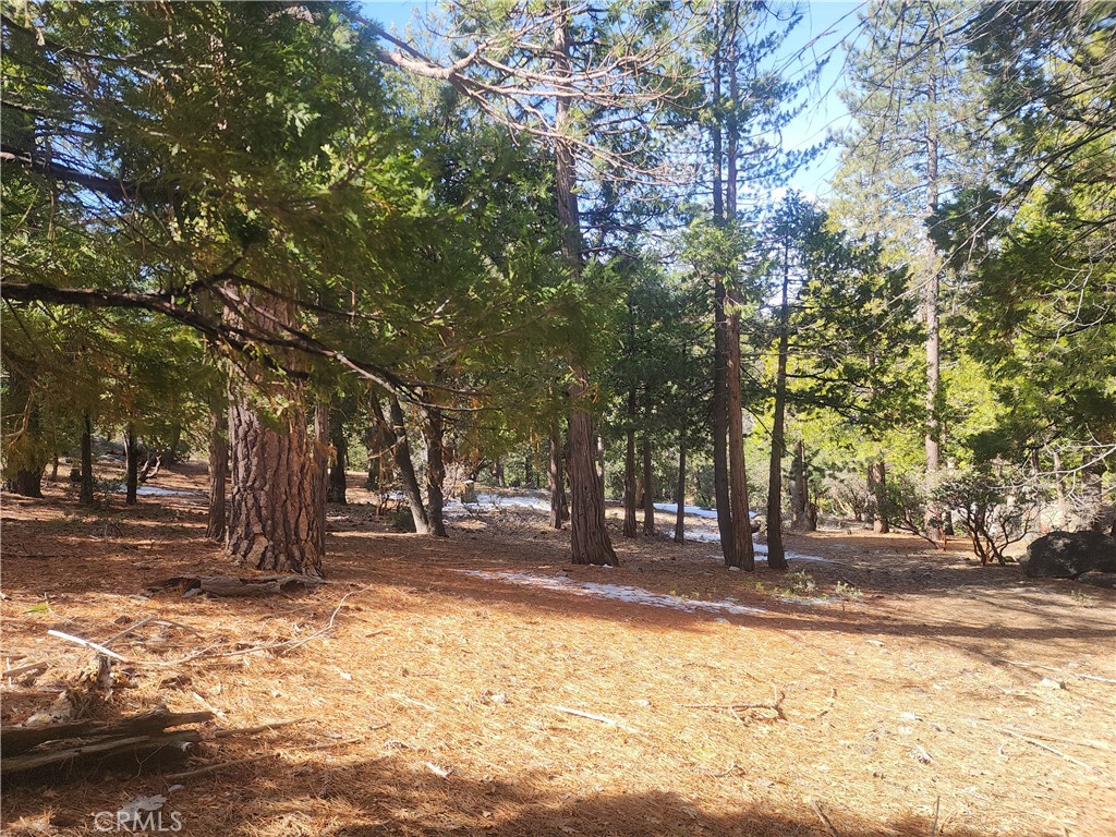 52547 Pine Cove Property Photo 35