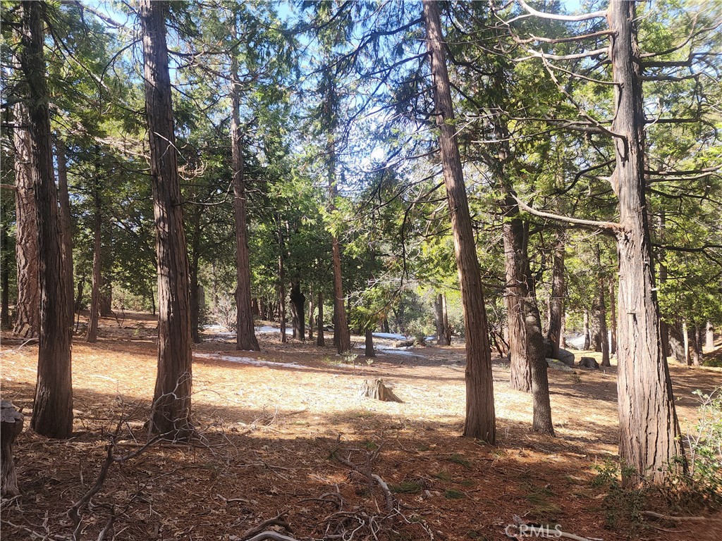 52547 Pine Cove Property Photo 36