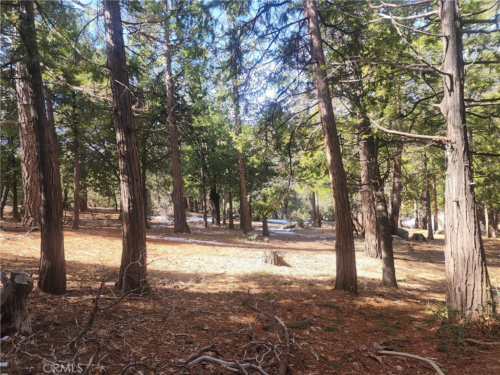 52547 Pine Cove Property Photo 37