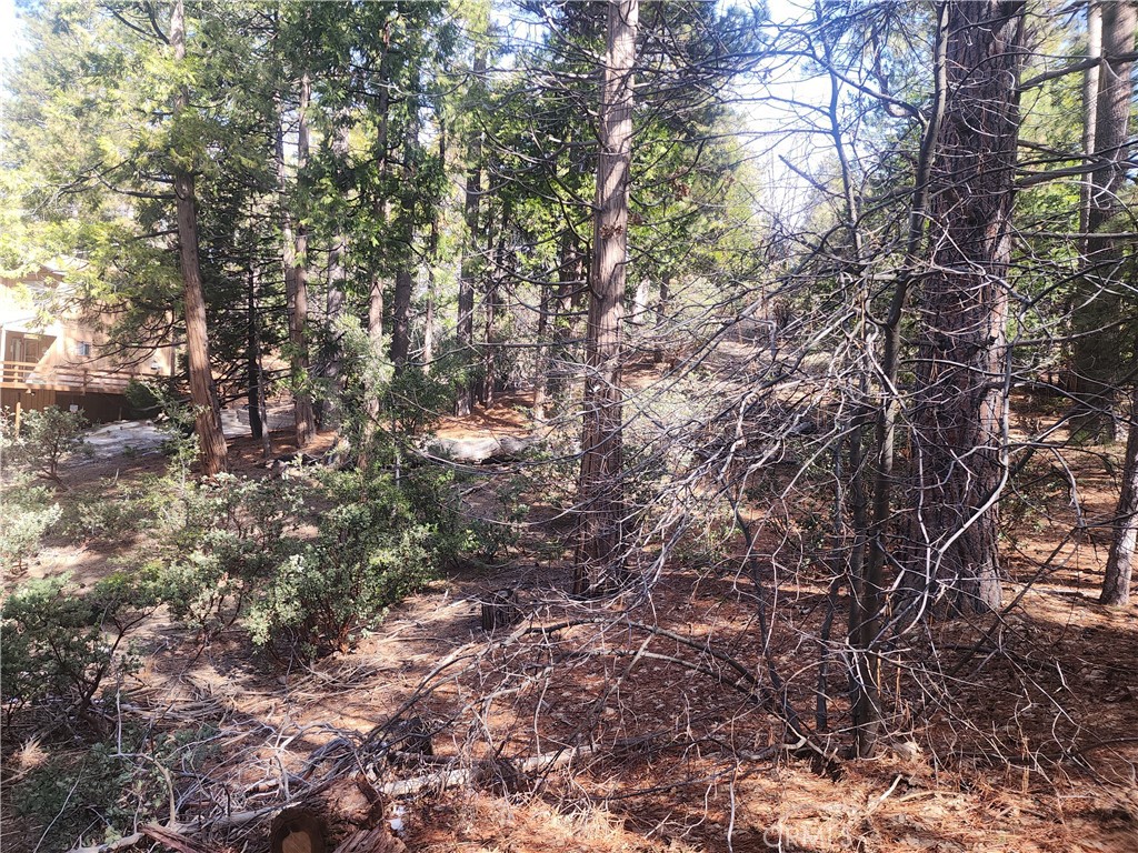 52547 Pine Cove Property Photo 38