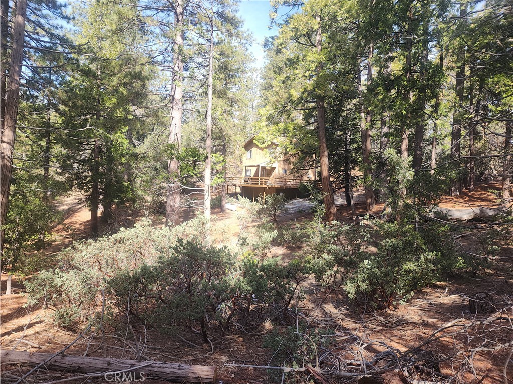 52547 Pine Cove Property Photo 39