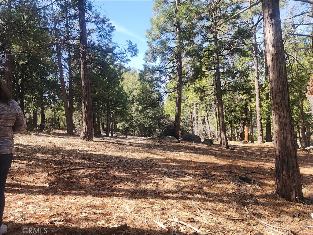 52547 Pine Cove Property Photo 40