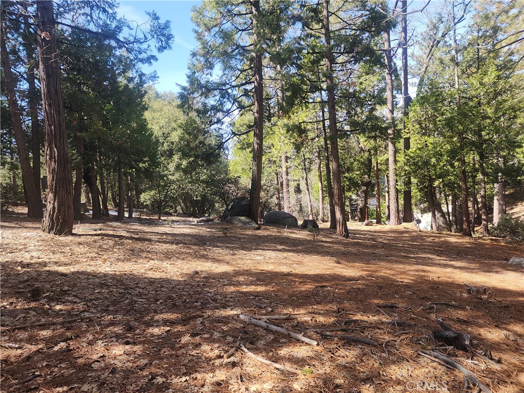 52547 Pine Cove Property Photo 41