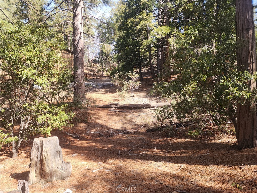 52547 Pine Cove Property Photo 42