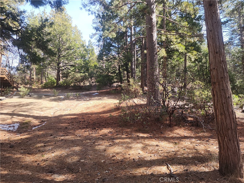 52547 Pine Cove Property Photo 43