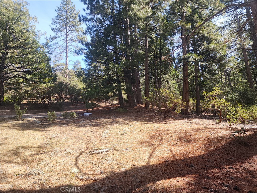 52547 Pine Cove Property Photo 44