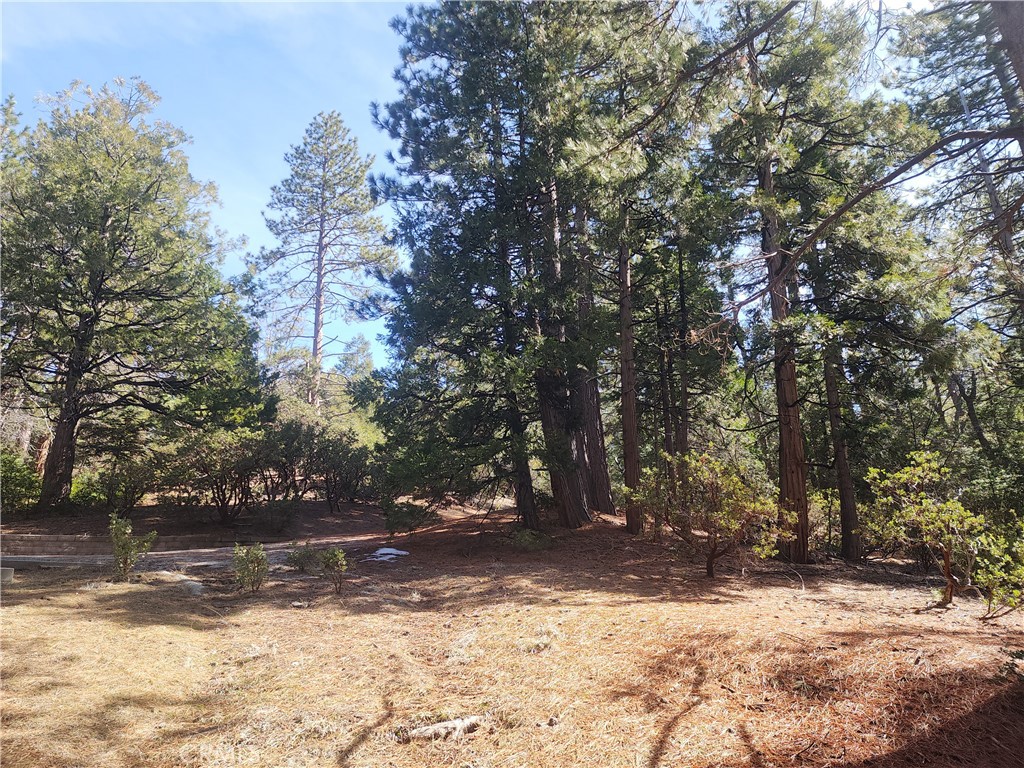 52547 Pine Cove Property Photo 45